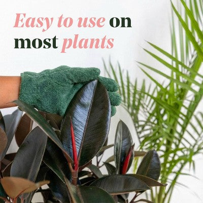 WE THE WILD Protect Spray Organic Botanical Leaf Shine & Care For Houseplants 8.5 fl oz