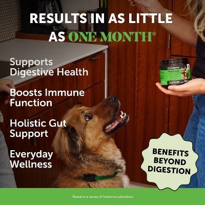Pet Honesty Probiotics Gut & Health Duck Flavor Supplement for Dog - 60ct