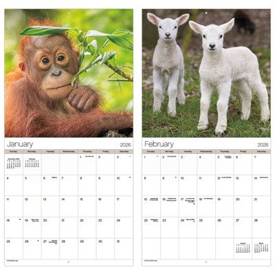 DateWorks 12"x12" 2026 Animal Babies Wall Calendar
