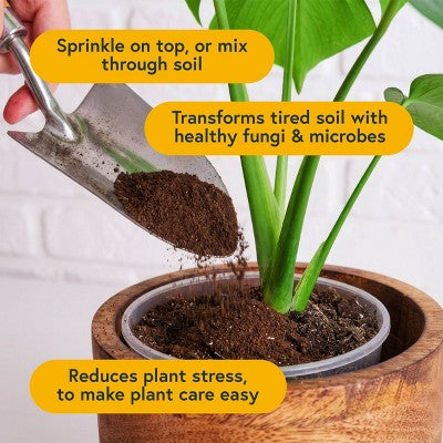WE THE WILD Plant Food Kit Organic Easy 2-Step Care For Houseplants