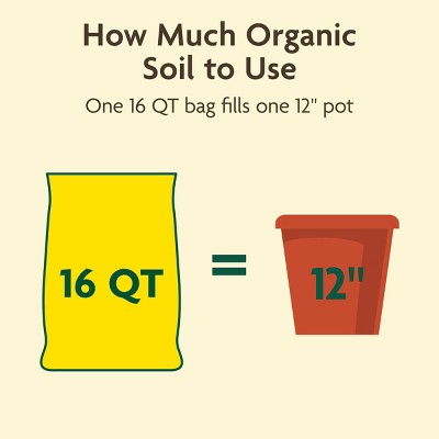 Miracle-Gro Organic Outdoor Mix 3lbs Potting Soil