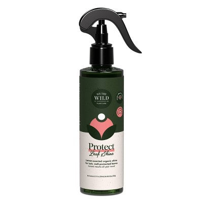 WE THE WILD Protect Spray Organic Botanical Leaf Shine & Care For Houseplants 8.5 fl oz