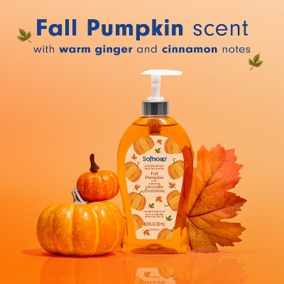 Softsoap Fall Seasonal Liquid Hand Soap - Pumpkin - 11.25 fl oz