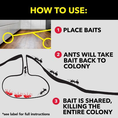 Raid Ant Bait & Indoor Ant Trap - 8ct