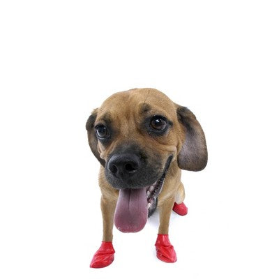 Pawz 12pc Rubber Dog Boots - Red S: Pullover Style, Textile Material, Small Size, Pet Footwear