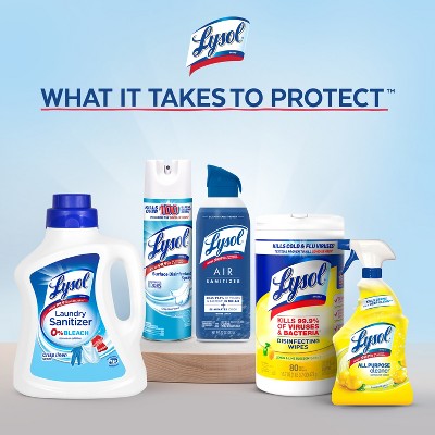 Lysol Clean Scent Power Plus Odor Fighting Liquid Toilet Bowl Cleaner - 48 fl oz: Aluminum-Free, Plastic Bottle