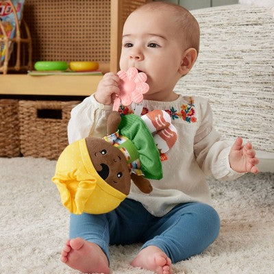 Fisher-Price Cuddle and Chime Babydoll Flower