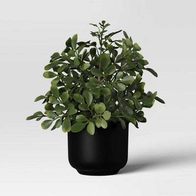 4.3" Set of 3 Mini Artificial Plants in Black Pot - Room Essentials