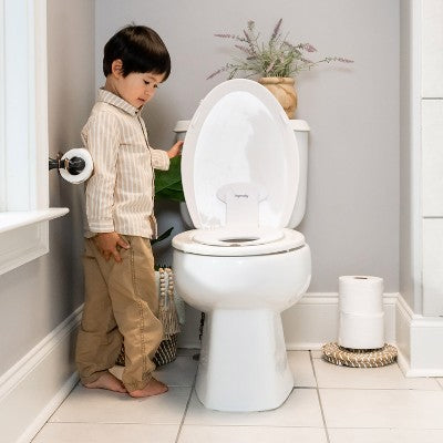 Ingenuity Flip and Sit Potty Seat