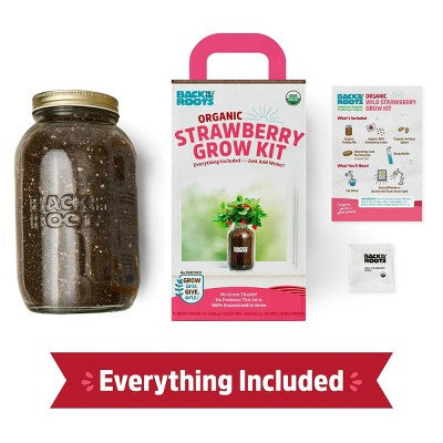 Back to the Roots Organic Strawberry Grow Kit