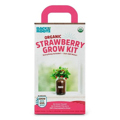 Back to the Roots Organic Strawberry Grow Kit