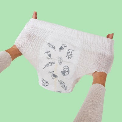 Parasol Clear+Dry Natural Disposable Diaper Pants - 3T-4T - 48ct