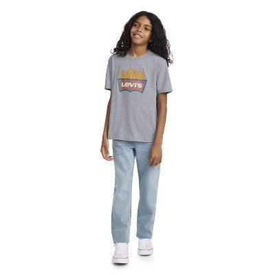 Levi's Boys' French Fry Logo Graphic T-Shirt - Gray L