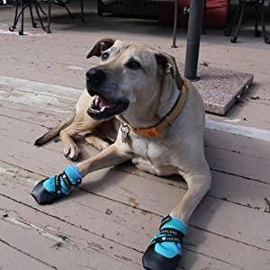Healers Urban Walker Dog Boots - L/M - Teal: Pet Footwear, Polyester, Medium/Large, 2-Pack