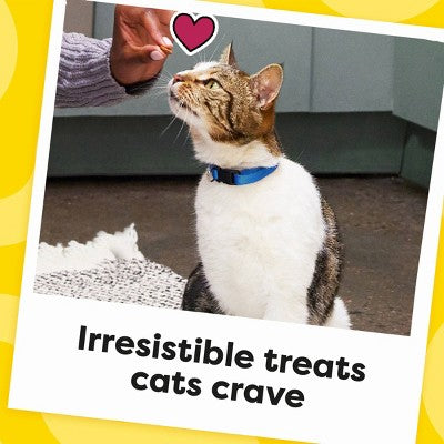 Temptations Blissful Catnip Flavor Crunchy Cat Treats - 16oz
