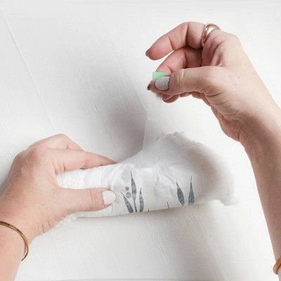 Parasol Clear+Dry Natural Disposable Diaper Pants - 3T-4T - 48ct