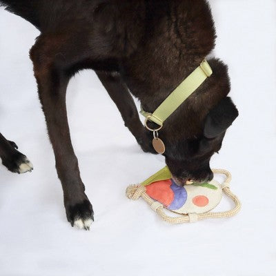 AWOO Treatscape Organic Dog Treat Puzzle Dispenser Toy