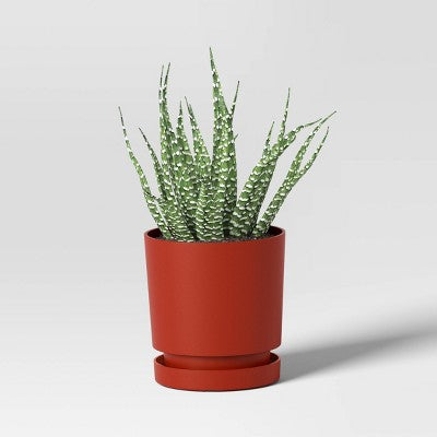 2pc Recycled Resin Indoor Outdoor Planter Pots Red 4"x4"x4" - Room Essentials