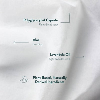 Biom Lavender Ease All Purpose Cleaning Wipes Refill - 60ct