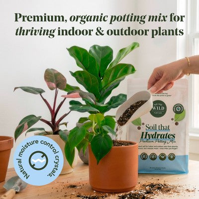 WE THE WILD Soil That Hydrates Premium Organic Moisture-Control Potting Mix For Houseplants 6qt