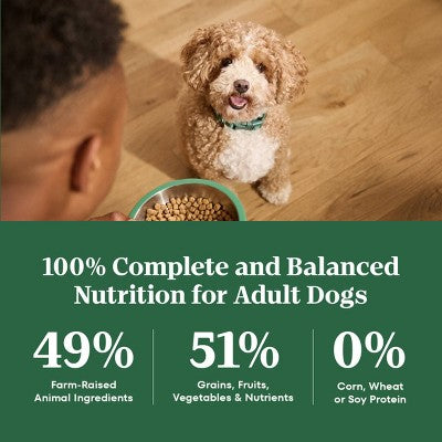 Nutro Wholesome Nutrition Natural Choice Essentials Chicken, Vegetable and Rice Flavor Small Breed Adult Dry Dog Food - 5lbs
