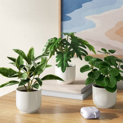 4.3" Set of 3 Mini Artificial Plants in White Pot - Room Essentials