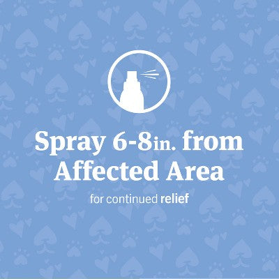 PetArmor Anti-Itch Spray for Dogs & Cats - 4 fl oz