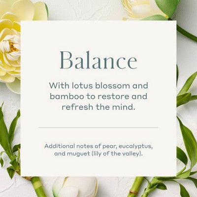 350ml Balance Reed Diffuser Refills - Casaluna: Bamboo & Lotus Aromatherapy, No Battery Required