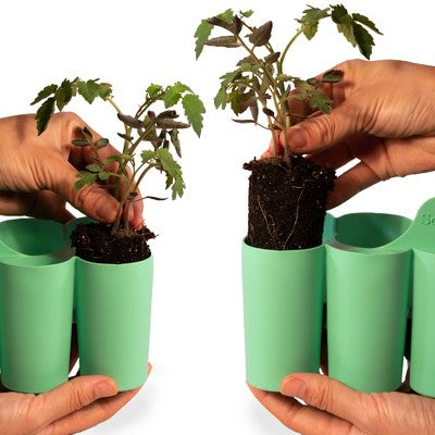 Sili-Seedlings 2pk 10 cell Seed Starter Silicone Outdoor Planter Jade Green