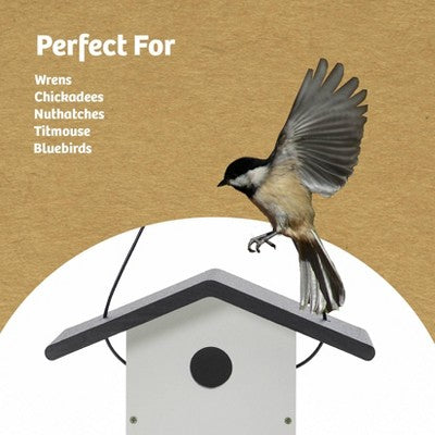 Birds Choice 7" Modern Farmhouse Wren House Black & White