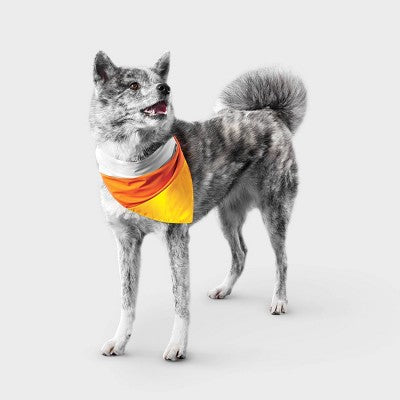 Reflective Candy Corn Costume Dog Bandana - Boots & Barkley One Size Fits Most