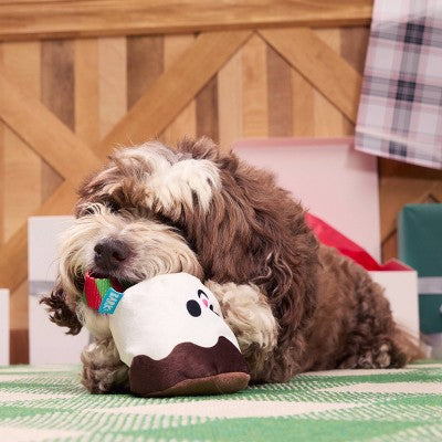 BARK Holiday Santa's Workchomp Lil Bro-coa Stocking Stuffer Dog Plush Toy