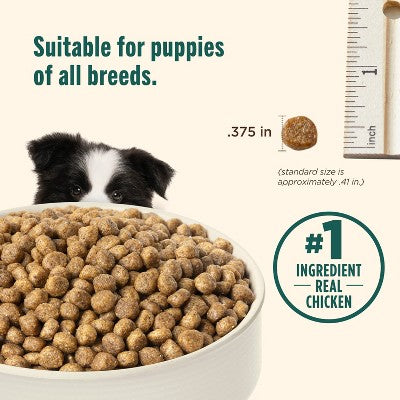Rachael Ray Nutrish Puppy Real Chicken and Brown Rice Recipe Dry Dog Food - 6lbs