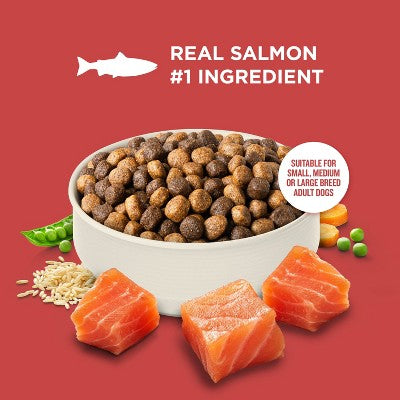 Rachael Ray Nutrish Real Salmon, Vegetable and Brown Rice Recipe Dry Dog Food - 12lbs