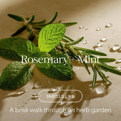 Raw Sugar The Oil Remedy Conditioner - Rosemary + Mint - 16 fl oz: For All Hair Types, Daily Use, Vegan, Cream Formula