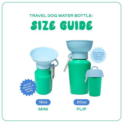 Springland 15 fl oz Mini Travel Dog Water Bottle - Green/Sky Blue