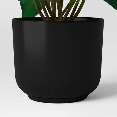 Trend Plant Multipack in Black Pot - Room Essentials