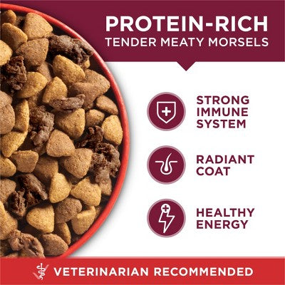 Purina ONE SmartBlend Small Bites Beef & Rice Formula Adult Dry Dog Food - 8lbs