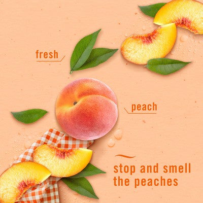 Febreze Odor-Fighting Plug Air Freshener Dual Refill Juicy Summer Peaches - 2ct: Oil, Electric, Air Freshener Refills