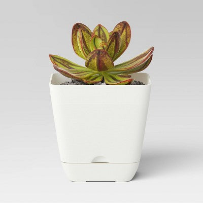 Square Indoor Outdoor Planter Pot White 6"x6" - Room Essentials