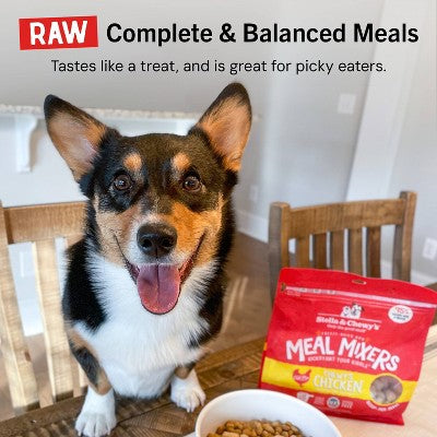 Stella & Chewy's Stella's Super Beef Flavor Patties Dry Dog Food - 5.5oz