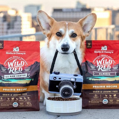 Stella & Chewy's Chicken and Turkey Flavor Wild Red Raw Coated Grain and Legume Free Dry Dog Food - 3.5lbs