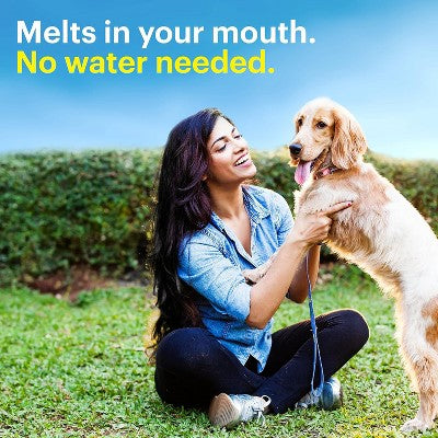 Claritin Loratadine 5mg Reditab Tablet Non Drowsy, 30 Count