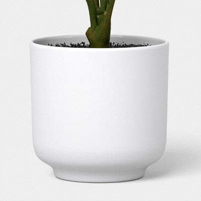 13" Monstera Plant - Room Essentials (LOCAL PICKUP ONLY)