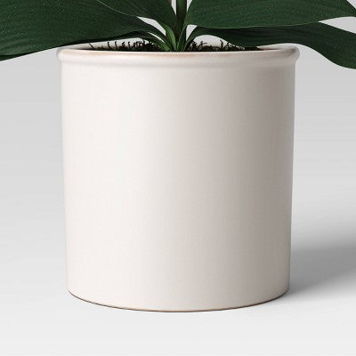 Orchid in White Pot - Threshold