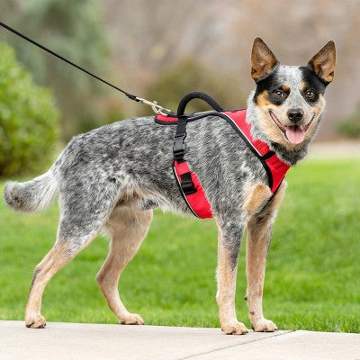 PetSafe EasySport Adjustable Dog Harness - M - Red