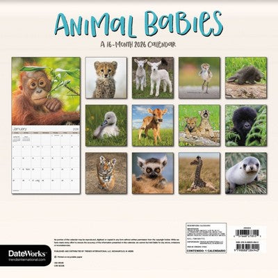 DateWorks 12"x12" 2026 Animal Babies Wall Calendar