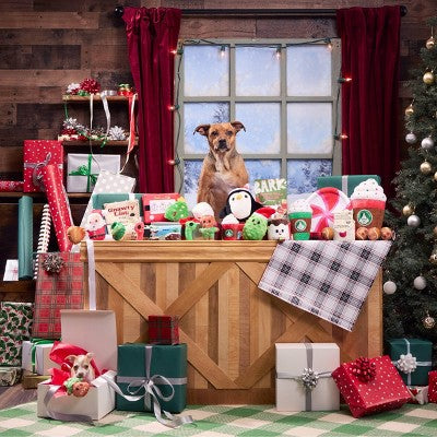 BARK Holiday Santa's Workchomp Lil Bro-coa Stocking Stuffer Dog Plush Toy