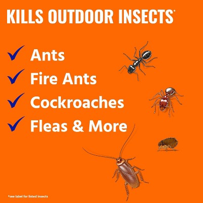 Terro Ant Killer Plus Shaker Bag