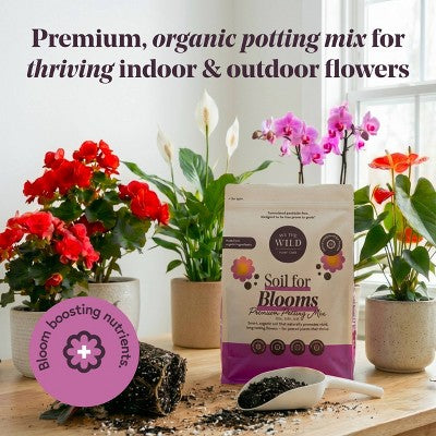 WE THE WILD Soil for Blooms Premium Organic Bloom-Boosting Potting Mix For Flowers 6 qt